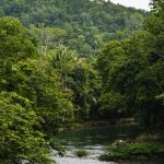 River running through Belize's forest - Ya'axche